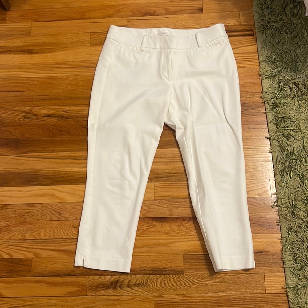 Loft pants